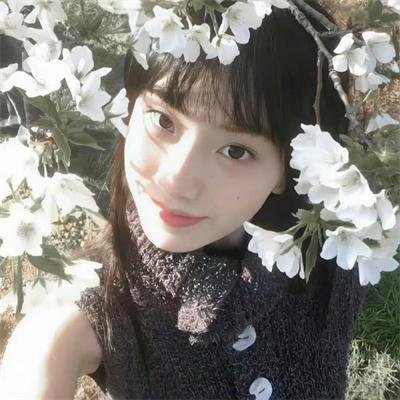 同等族群