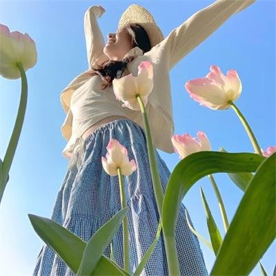 橄榄树之恋